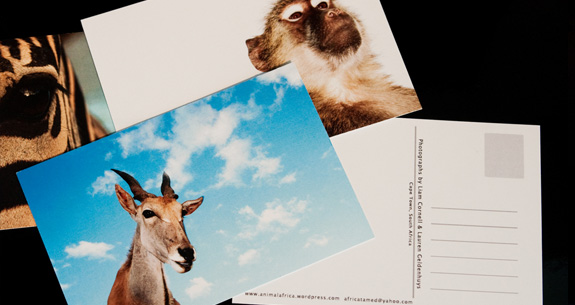 LEAFLETS AND FLYERS IMAGE